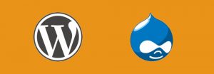 Drupal vs WordPress – Qual plataforma de CMS é a melhor para você?